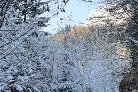 осень в рожкао