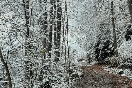 осень в рожкао